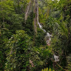 The Sebali Ubud